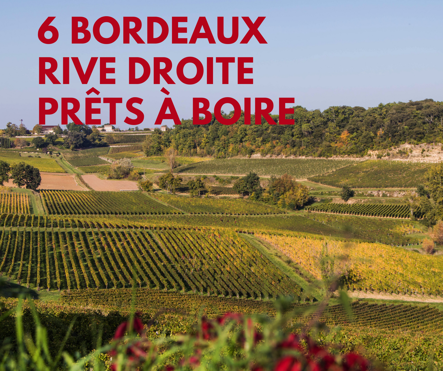 Bordeaux Rive Droite